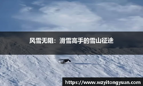 风雪无阻：滑雪高手的雪山征途