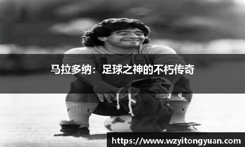 马拉多纳：足球之神的不朽传奇